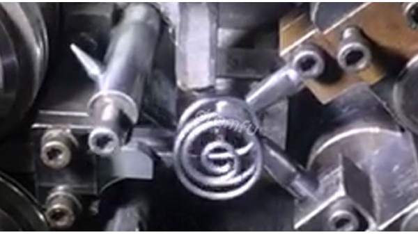 �������˿������