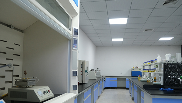 ��������������-ʵ����