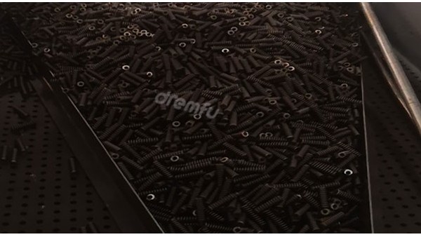 ���ɳ���ʲô��������